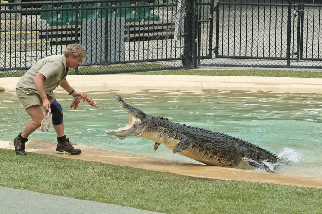 Foto: Reprodução Facebook/Steve Irwin