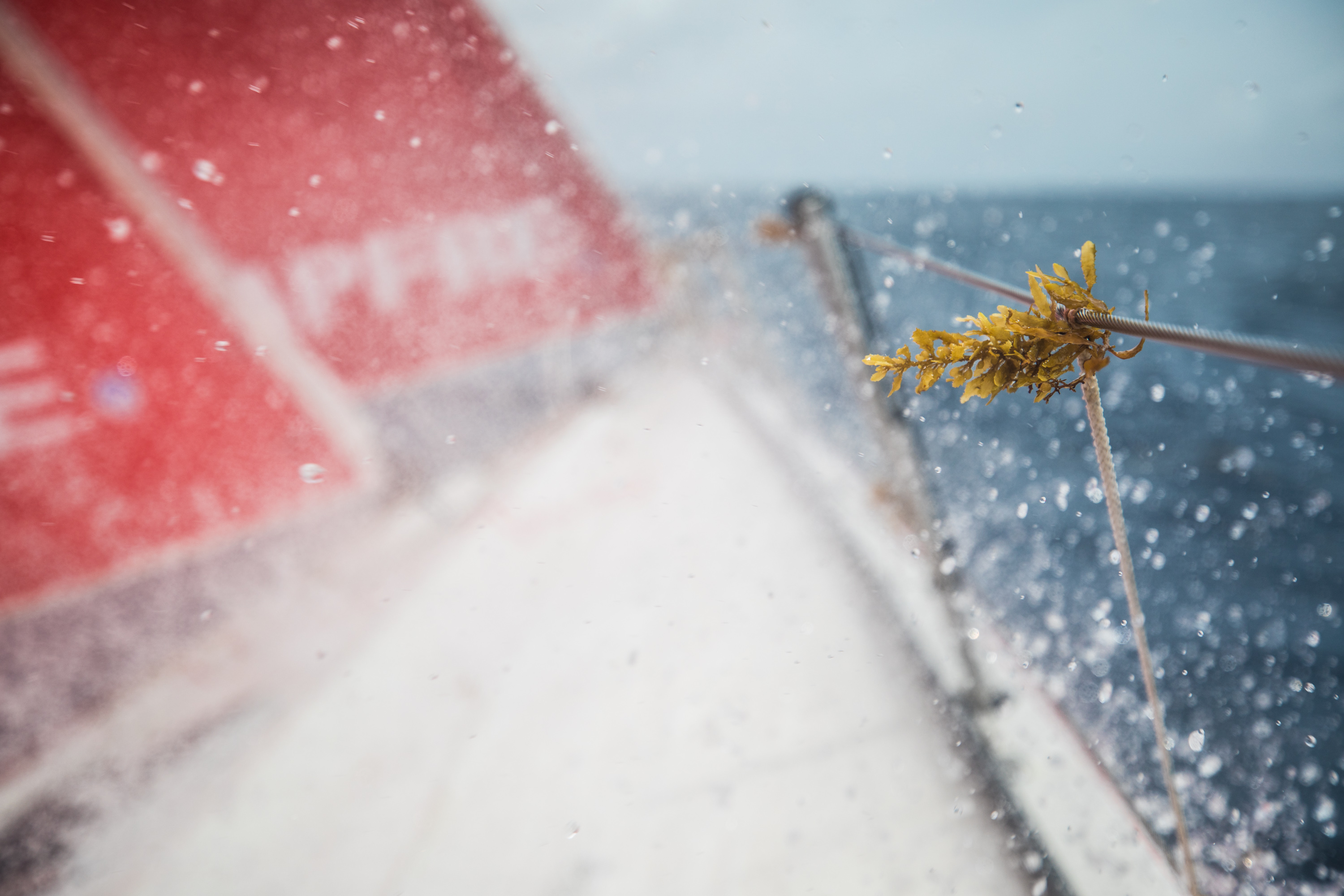 Foto: Ugo Fonolla/ Volvo Ocean Race