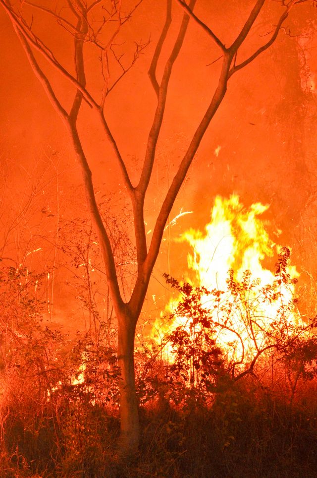 De acordo com o INPE  queimadas crescem no país (foto: Alexandre Ribeiro de Carvalho/ Fotoarena)