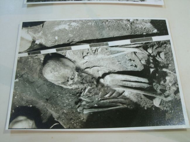 Acervo inclui imagens de achados nas cavernas (foto: Divulgação/SBE)