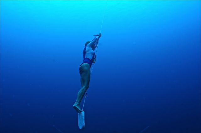 A mergulhadora desce segurando em um cabo (foto: Ocean Eyes / Alcides Falanghe )