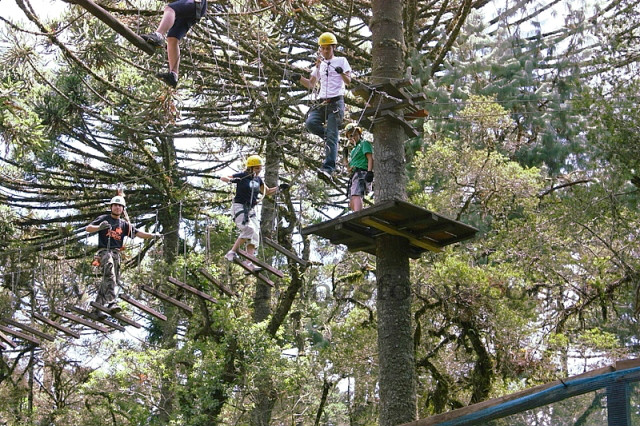 Monte Verde tem um dos melhores parques para a prática do arborismo (foto: Rosely Atanes)