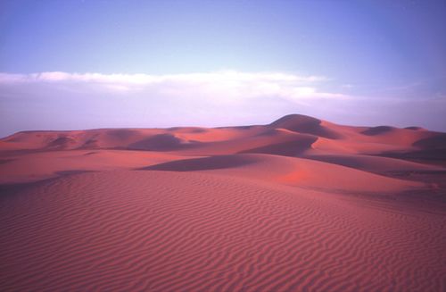 Deserto do Saara. (foto: Arquivo Pessoal)