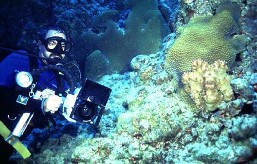Lawrence Whaba filma corais (foto: Divulgação)