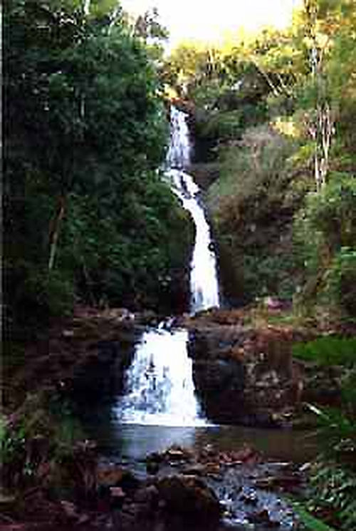 Cachoeira Três Quedas  uma das principais atrações da cidade (foto: Divulgação/ Secretaria de Turismo de Santa Rita do Passa Quatro)
