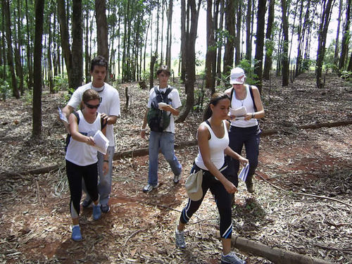 Prova passará por bosques e plantação de café (foto: Divulgação)