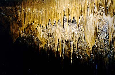Estalactite na gruta Lapa Doce (foto: Luciana de Oliveira)