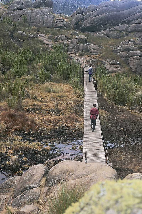 Ponte que atravessa o Parque Nacional do Itatiaia. (foto: Divulgação.)