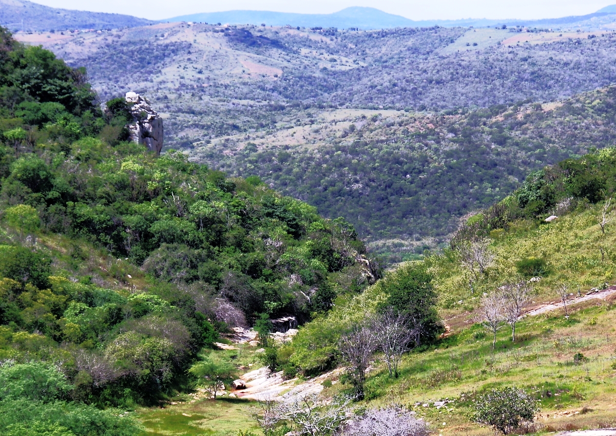 Araruna, Paraíba: cenários lindos, trekking, paraglider, asa delta, rapel, escaladas e mountain bike que irão surpreender você